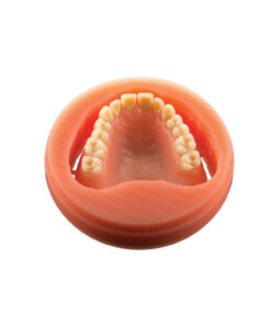 PoliDent™ Gingiva Shoulder PMMA 98x20mm